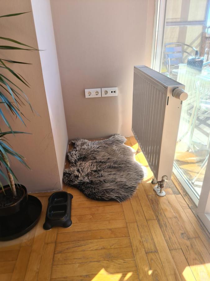 Apartman *Joy* Осієк Екстер'єр фото